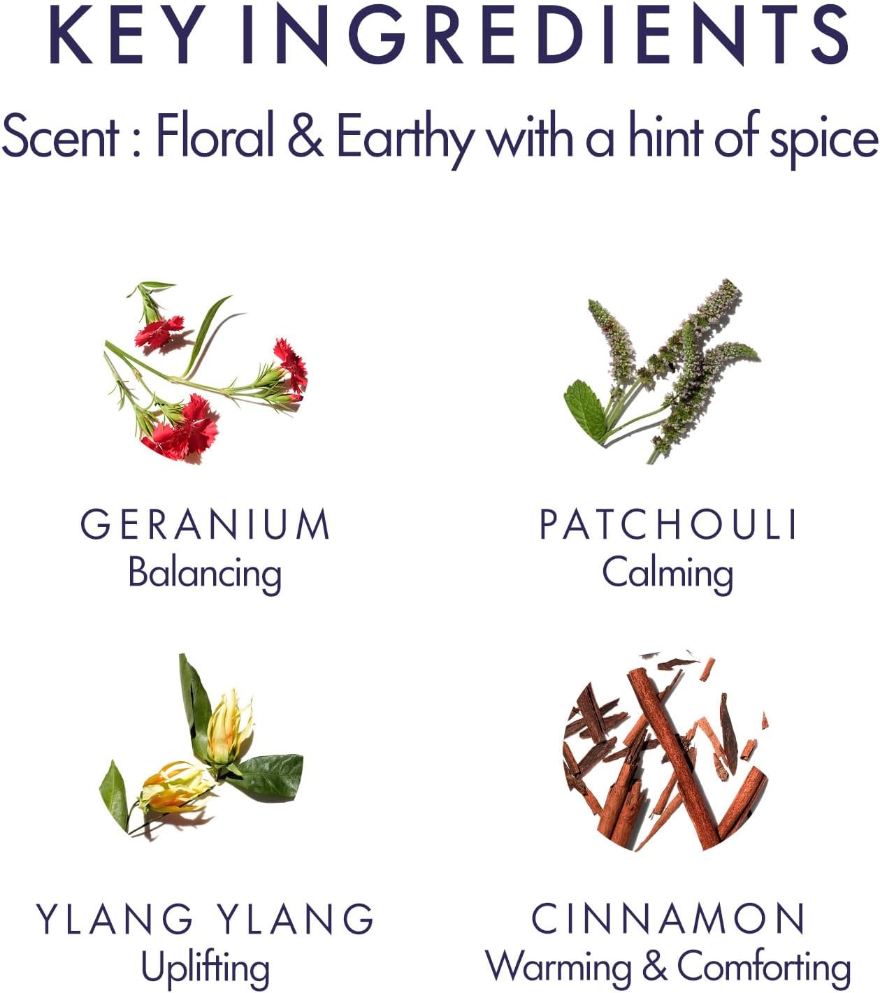 Aromatherapy Associates Revive Evening Bath and Shower Oil – Natural Hydrating Oil with 3 Essential Oils to Refresh Mind, Body, and Spirit (1.86 oz)