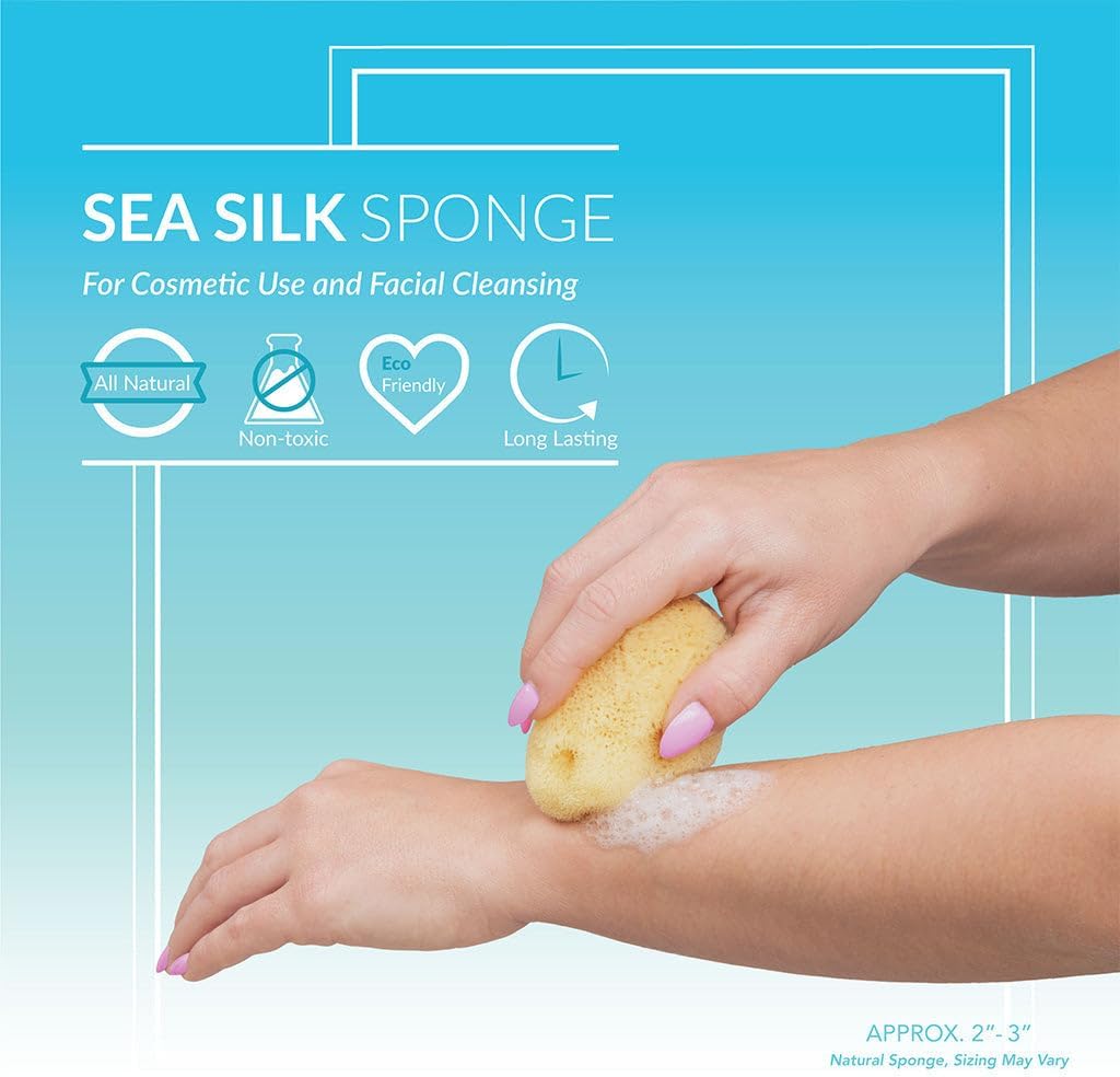Sea Silk Sponge 2pc Kit, Hand Cut, Medium, Approx. 2-3 inches, Ideal for Cosmetic Use and Facial Cleansing