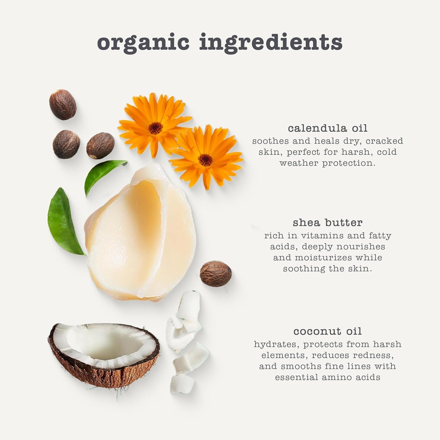 Erbaviva Organic Lip & Cheek Balm – Moisturizing Stick for Baby & Adults | USDA Organic, Shea Butter & Calendula for Dry, Chapped Skin | Lip, Cheek & Hand Protection