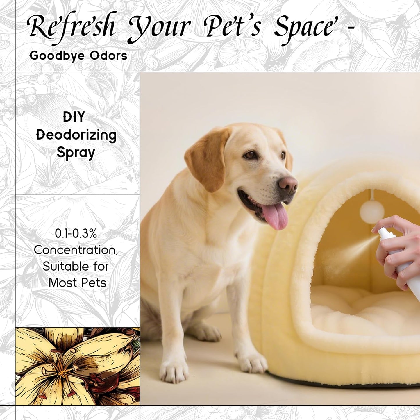 HIQILI Vanilla Fragrance Oil for Body Spray, Diffuser Use, Essential Oil for Candle, Soap, and Women Perfume Making - 5.07 Fl Oz