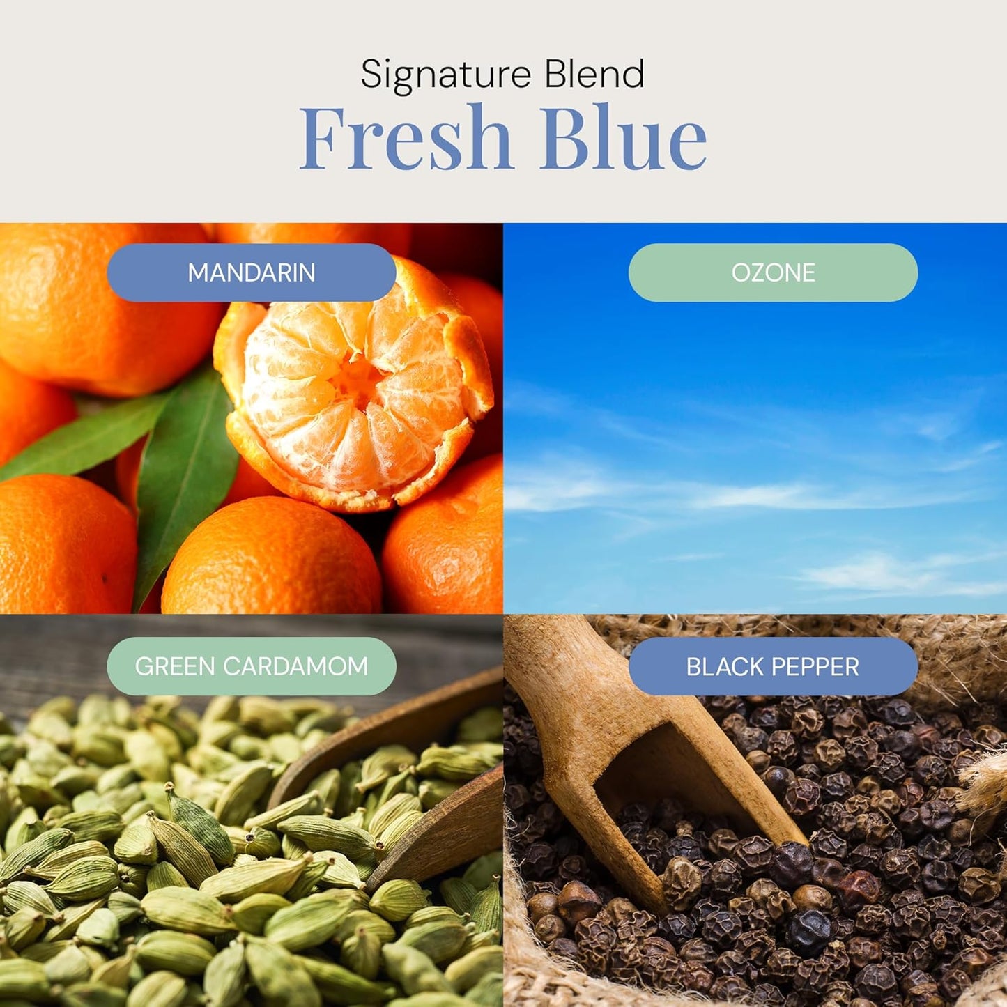 Fresh Blue Aroma Oil, Essential Oils Blend for Diffusers & Scent Machines, Mandarin, Ozone & Cardamom Blend, Aromatherapy, Cold Air Diffuser Compatible, 300 mL