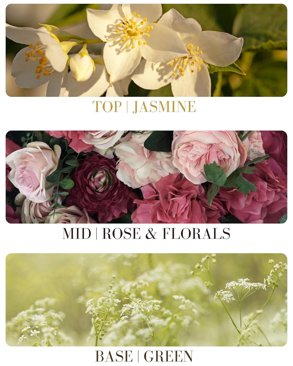 Jasmine Natural Hair & Body Mist Spray, Pure Essential and Fragrance Oils, Alcohol-Free, Handmade in California, 0.5Fl Oz