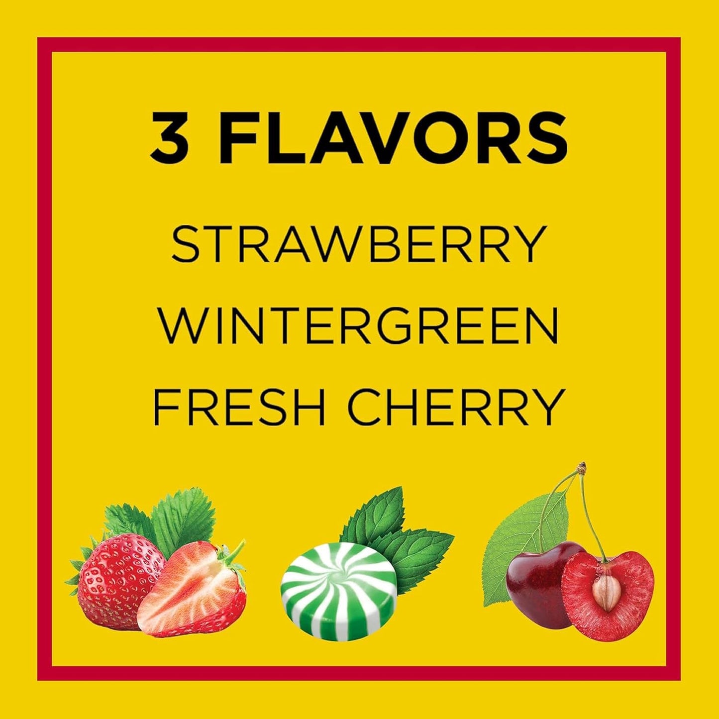 Carmex Daily Care Moisturizing Lip Balm Pack, SPF 15, Multi-Flavor Lip Care Variety Pack Bag, 9 Count (3 Tubes, 6 Sticks)