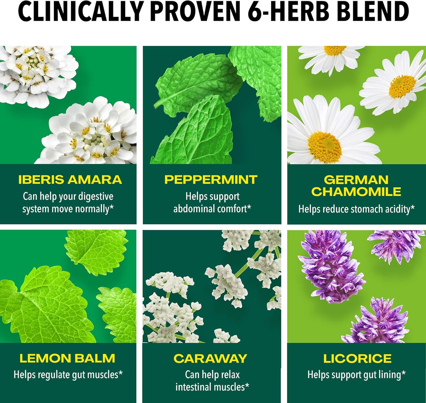 Iberogast Liquid Drops, Herbal Relief of Stomach Upsets: Occasional Indigestion, Bloating, Gas, Nausea, Upset Stomach; Gluten Free; 6-Herb Blend with Iberis Amara, Peppermint, Licorice; 50mL