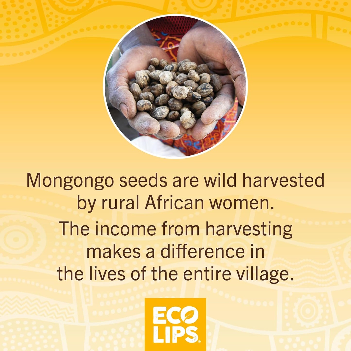 LIP BALM Mongo Kiss 6-Pack (6 tubes) Vanilla Honey by Eco Lips 100% Organic Beeswax & Cocoa Butter Lip Care with Organic Mongongo Oil - Soothe & Moisturize Dry and Cracked Lips - Made in USA