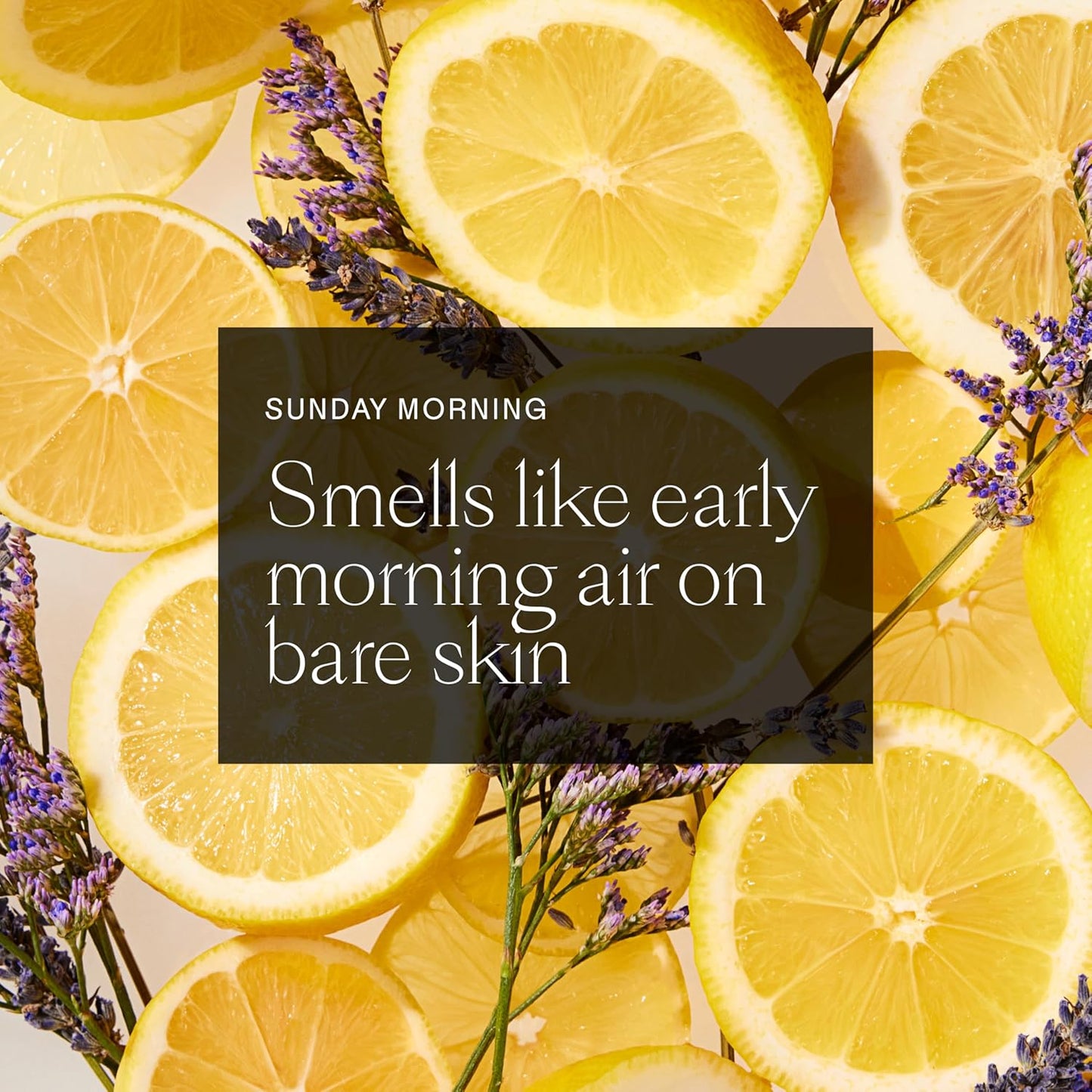 Each & Every Aluminum Free Deodorant for Women & Men, Lavender & Lemon + Cedar & Vanilla - All Natural Deodorant for Sensitive Skin, EWG Verified - Clean, Baking Soda-Free, Plant-Based - 2.5oz, 2 Pack